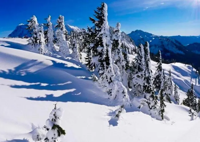 Casa Il Rifugio アパート